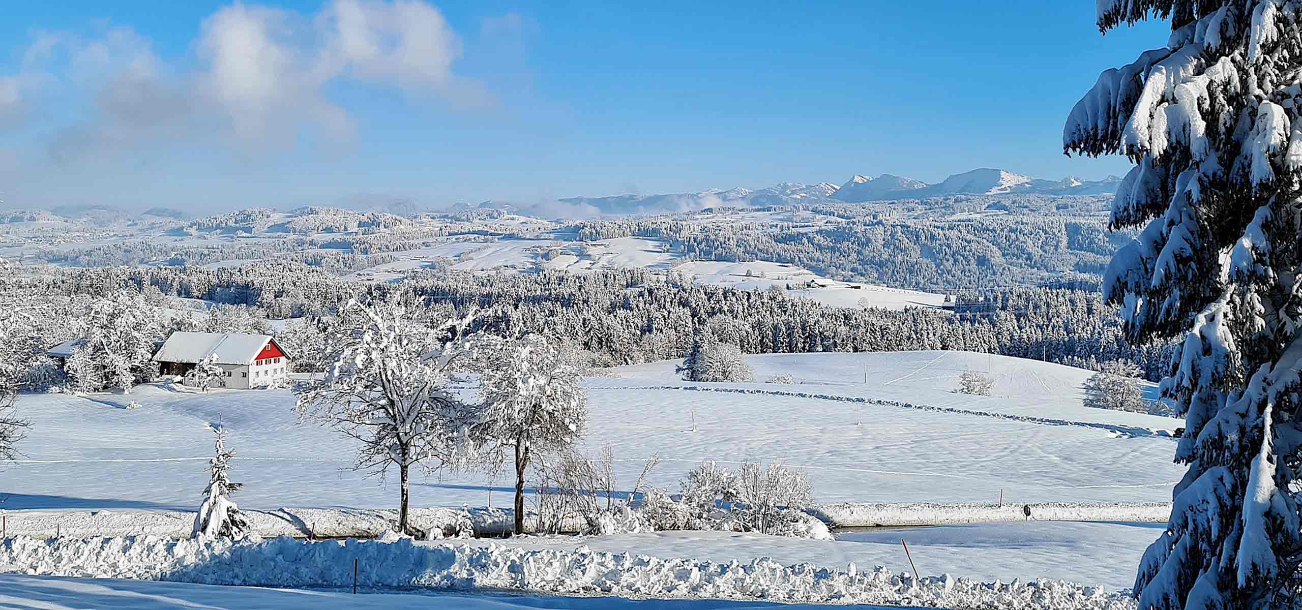 Winter im Allgäu