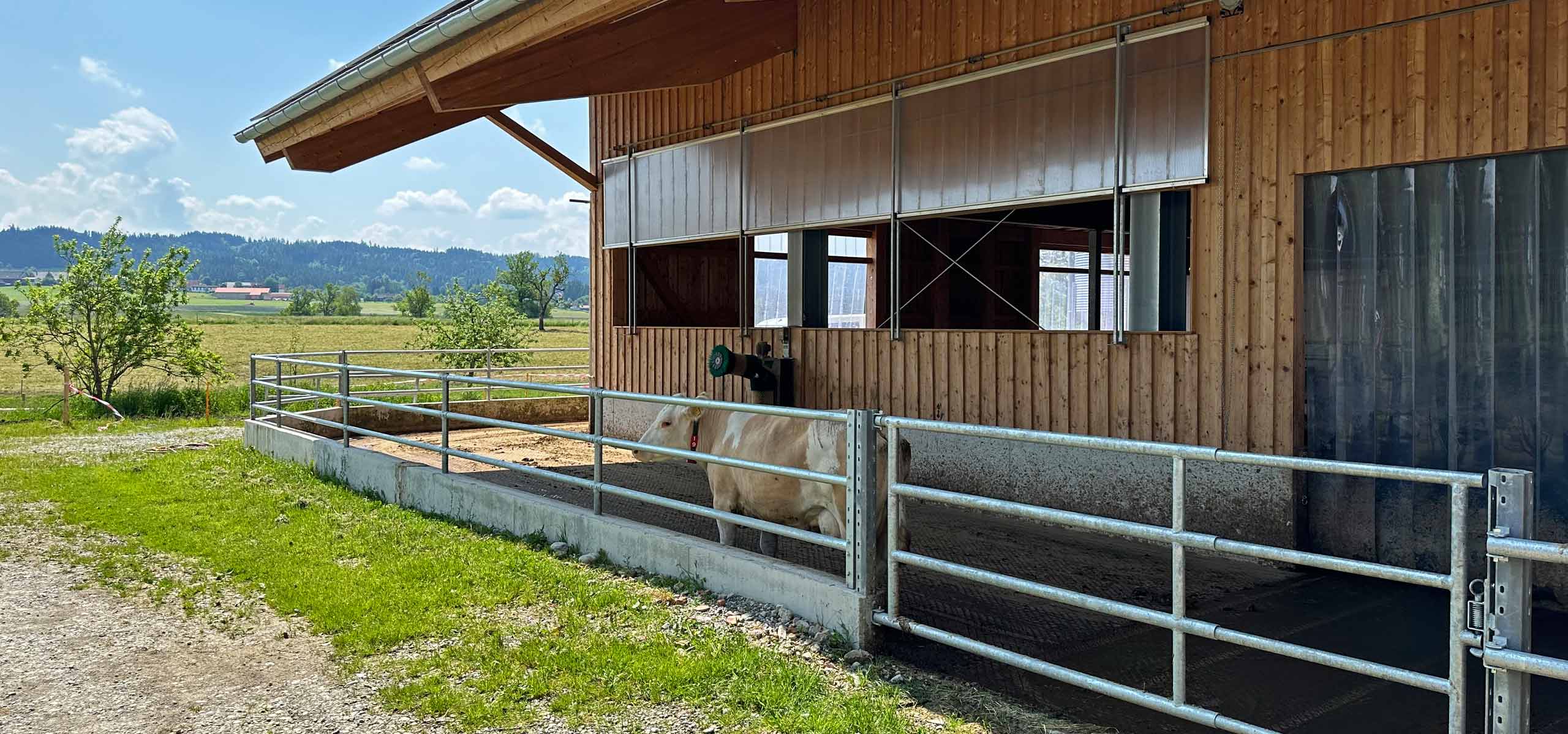 Kuhstall mit Aussengehege