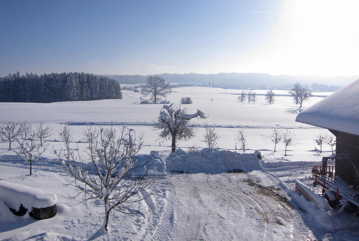 Hofeinfahrt auf dem Schneiderhof